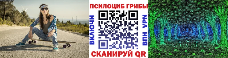 мега ССЫЛКА  Ахтырский  Галлюциногенные грибы Cubensis 